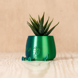 Happy Pot Planter - Alocasia Leaf Face