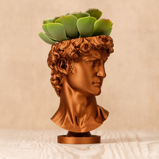 David Renaissance Eco-Friendly 3D Printed Head Planter
