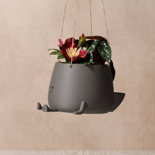 Eco-Elegance: The Sustainable Hanging Happy Pot - Matte Iron Grey