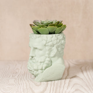 Hercules' Strength: Eco-friendly Greek Mythology Inspired Head Planter - Sage