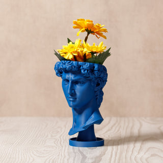 David's Renaissance: Eco-Friendly 3D-Printed Head Planter