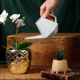 EcoNourish: Biodegradable PLA Bioplastic Watering Can for the Conscious Gardener