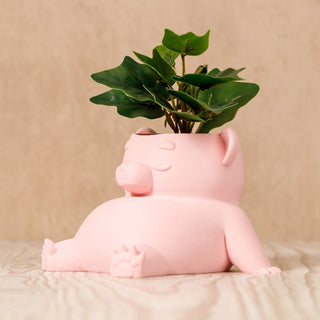 Eco-Friendly Dream Bear Plant Pot: Sustainable 3D Printed PLA Home Décor