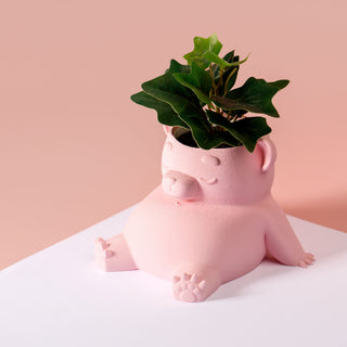 Eco-Friendly Dream Bear Plant Pot: Sustainable 3D Printed PLA Home Décor