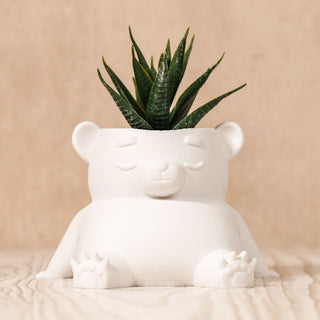 Eco-Friendly Dream Bear Plant Pot: Sustainable 3D Printed PLA Home Décor