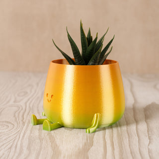 3D Printed Happy Face Planter