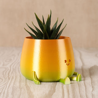 3D Printed Happy Face Planter