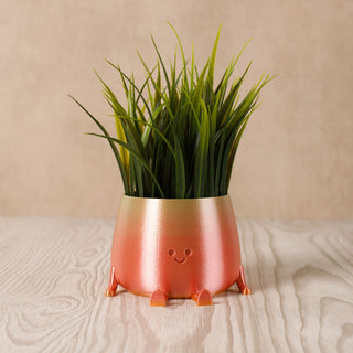 3D Printed Happy Face Planter