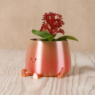 Copy of 3D Printed Happy Face Planter