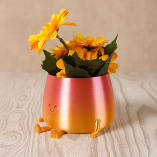 3D Printed Happy Face Planter