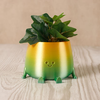 3D Printed Happy Face Planter