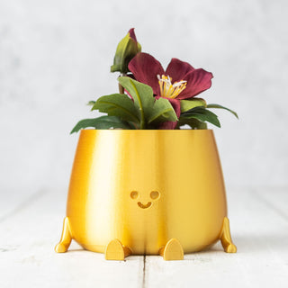 Happy Pot Planter - Gold