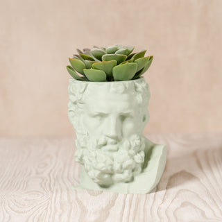 Hercules' Strength: Eco-friendly Greek Mythology Inspired Head Planter - Sage