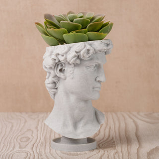 David Renaissance Eco-Friendly 3D Printed Head Planter