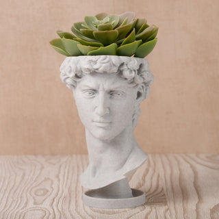 David Renaissance Eco-Friendly 3D Printed Head Planter