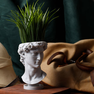 David Renaissance Eco-Friendly 3D Printed Head Planter