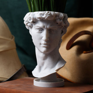 David Renaissance Eco-Friendly 3D Printed Head Planter