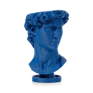 David's Renaissance: Eco-Friendly 3D-Printed Head Planter
