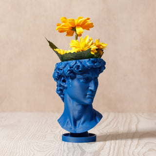 David's Renaissance: Eco-Friendly 3D-Printed Head Planter