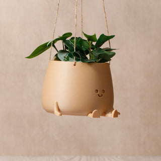 Eco-Elegance: The Sustainable Hanging Happy Pot - Light Wood
