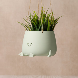 Eco-Elegance: The Sustainable Hanging Happy Pot - Sage