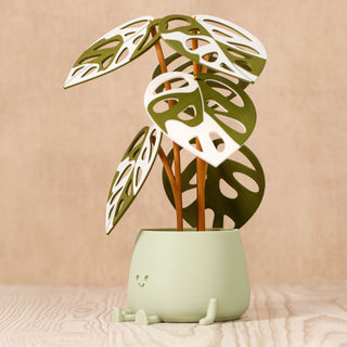 Charming Smiley Planter with Sustainable Monstera Leaves