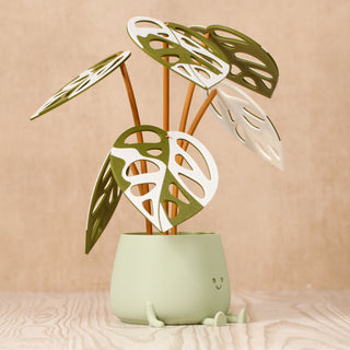 Charming Smiley Planter with Sustainable Monstera Leaves