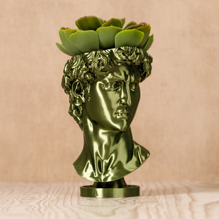 David Renaissance Eco-Friendly 3D Printed Head Planter