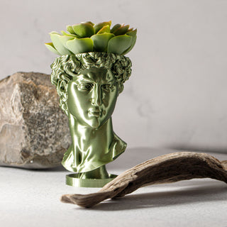 David Renaissance Eco-Friendly 3D Printed Head Planter