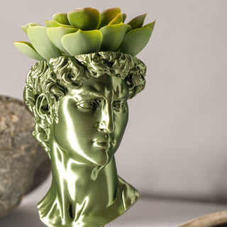 David Renaissance Eco-Friendly 3D Printed Head Planter