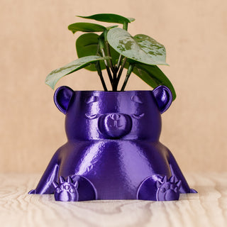 Eco-Friendly Dream Bear Plant Pot: Sustainable 3D Printed PLA Home Décor