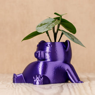 Eco-Friendly Dream Bear Plant Pot: Sustainable 3D Printed PLA Home Décor