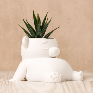 Eco-Friendly Dream Bear Plant Pot: Sustainable 3D Printed PLA Home Décor