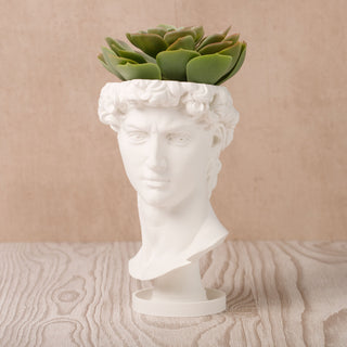 David Renaissance Eco-Friendly 3D Printed Head Planter