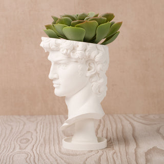 David Renaissance Eco-Friendly 3D Printed Head Planter