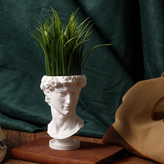 David Renaissance Eco-Friendly 3D Printed Head Planter