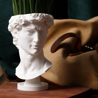 David Renaissance Eco-Friendly 3D Printed Head Planter