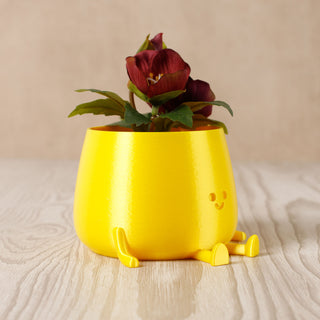 Happy Pot Planter - Silk Yellow