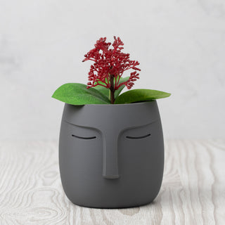 Nordic Face Pot Planter - Matte Iron Grey